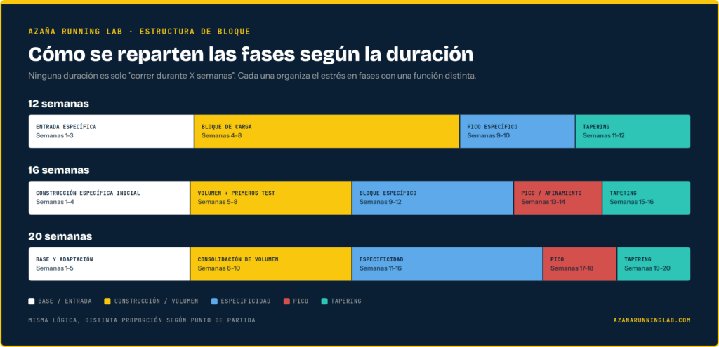 Cómo preparar un maratón: fases de la preparación según la duración