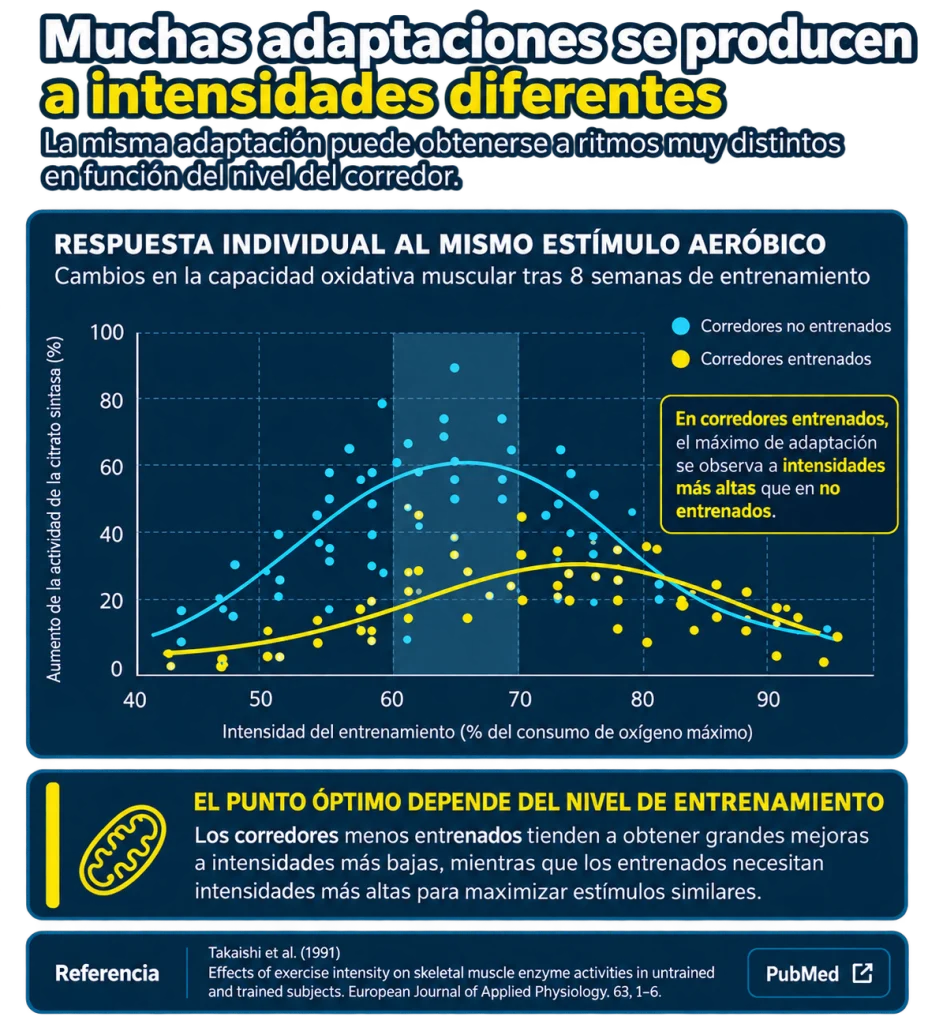 No todas las adaptaciones se producen a las mismas intensidades